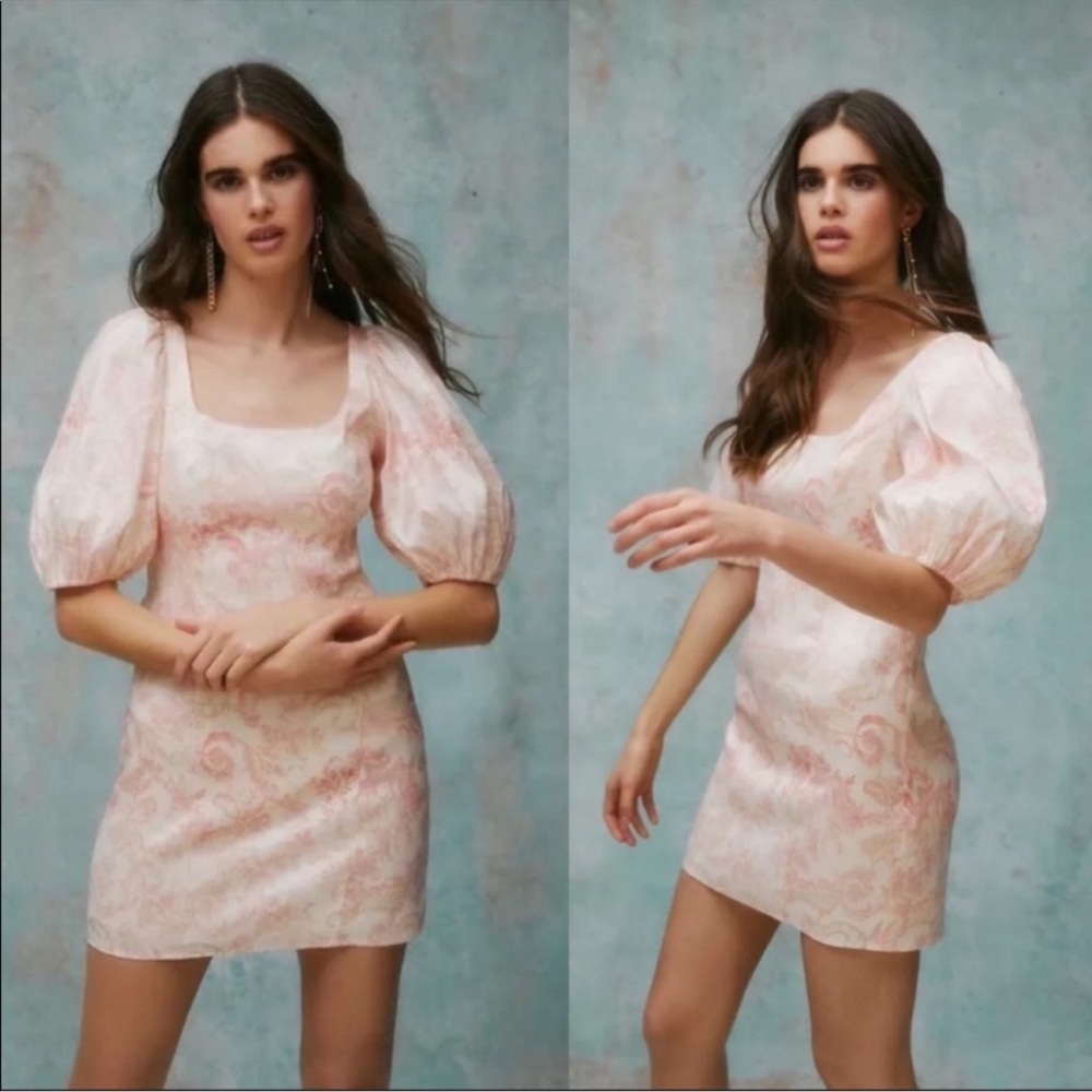 Laura Ashley Toile dress
